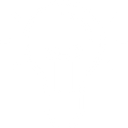 Permanent Lighting icon